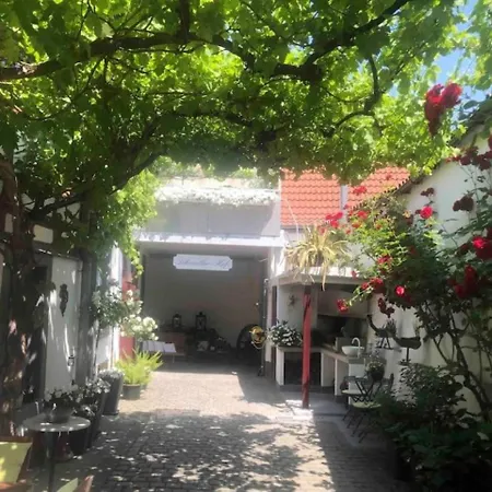 Lägenhet Im 'schmoller - Hof' Neustadt an der Weinstraße