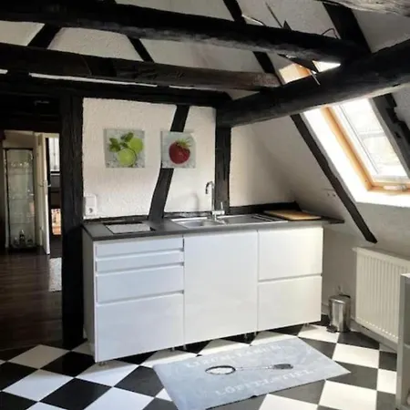 Lägenhet Im 'schmoller - Hof' Neustadt an der Weinstraße