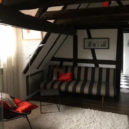 Apartment Im 'schmoller - Hof' Neustadt an der Weinstrasse